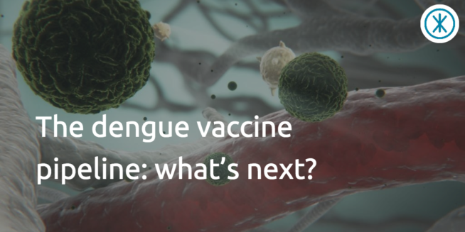 Image of the dengue virus with text reading, 'Dengue vaccine pipeline: what’s next?' 