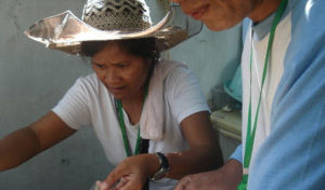 combating dengue in Manilla, Philippines. Image of a volunteer working.