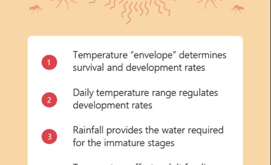 dengue fever impact breakdengue