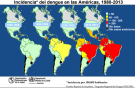 Image showing dengue fever incidence in Brazil 