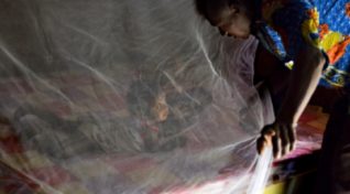 Image of am child sleeping under a mosqutio net, to stay protected from 'dengue mosquitoes'.