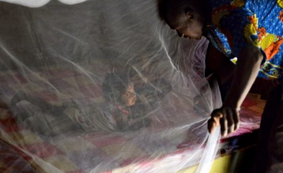 Image of am child sleeping under a mosqutio net, to stay protected from 'dengue mosquitoes'.