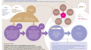 Dengue vaccine use could improve public health in countries where the disease is a burden.