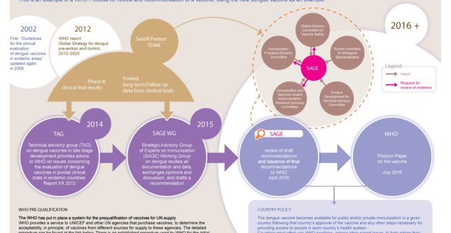 Dengue vaccine use could improve public health in countries where the disease is a burden.