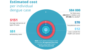 Cost of dengue per person examined at the Dengue Summit in the Philippines, graphic.