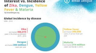 image from the Zika virus interest vs incidence infographic.