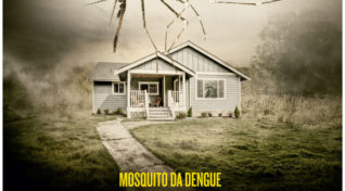 Parana dengue battle continues. Image of the Aedes mosquito, with a caution.
