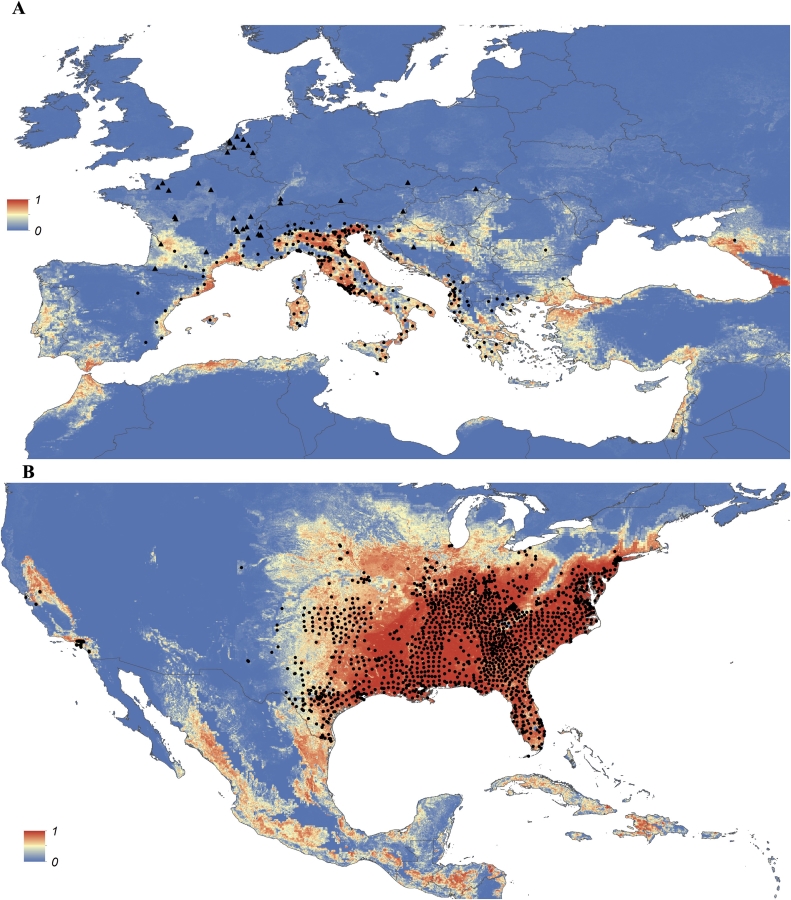 Image showing the needs for new dengue treatments as the risks of mosquito-borne disease spreads to new countries. 