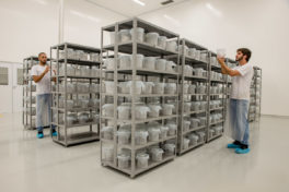 Image of Oxitec researchers in a lab storage facility.