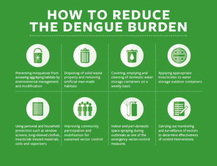 Image showing how to reduce the dengue burden through traditional vector control methods.