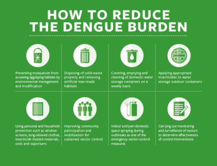 Image showing how to reduce the dengue burden through traditional vector control methods. Image showing how to reduce the dengue burden through traditional vector control methods.
