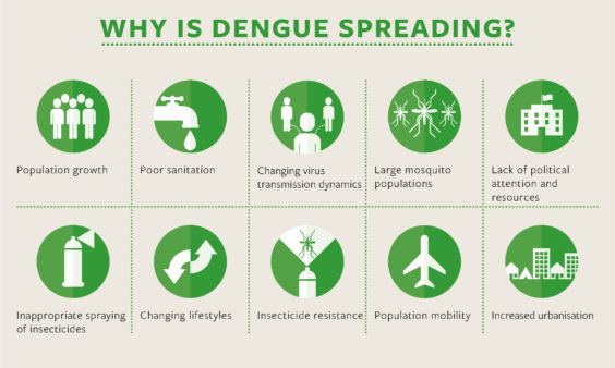 Dengue awareness image showing why dengue is spreading. Dengue awareness image showing why dengue is spreading.