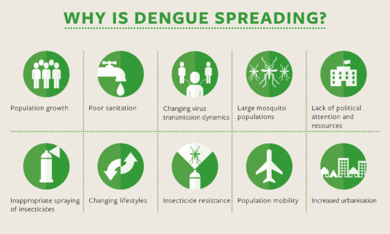Dengue awareness image showing why dengue is spreading.
