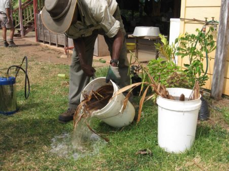 Dengue in Cairns: Image showing dengue prevention in Cairns, Australia. 