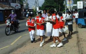 Image showing Sri Lanka Red Cross Society volunteers helping to prevent outbreaks of dengue. 