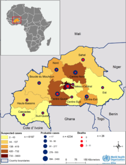 Image mapping the incidence of dengue fever in Burkina Faso in 2017.