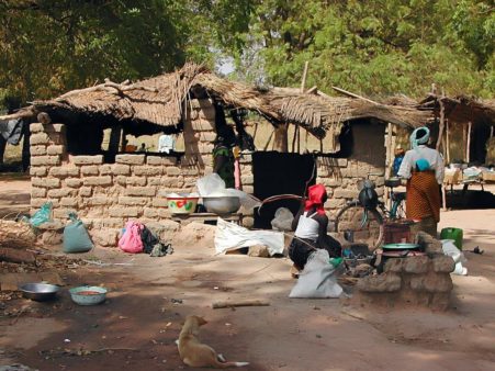Image: A dengue outbreak in Burkina Faso brings additional risk to residents with little protection.