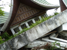 The earthquake in Indonesia led to a dengue disaster in Pedang. The earthquake in Indonesia led to a dengue disaster in Pedang.