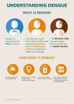 Image and text explaining basics on dengue fever and symptoms. 
