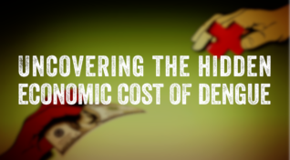 Image representing health costs containing the text, 'economic health costs of dengue.'