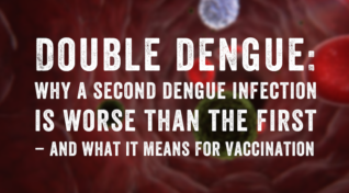Text, reading Double dengue: why a second dengue infection is worse than the first – and what it means for vaccination over a blurred image of the dengue virus.