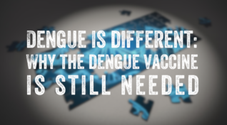 Text over a blurred image about the dengue vaccine and why it is still needed.