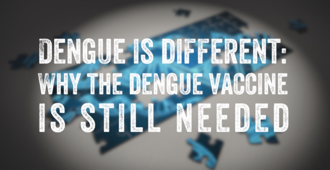 Text over a blurred image about the dengue vaccine and why it is still needed.