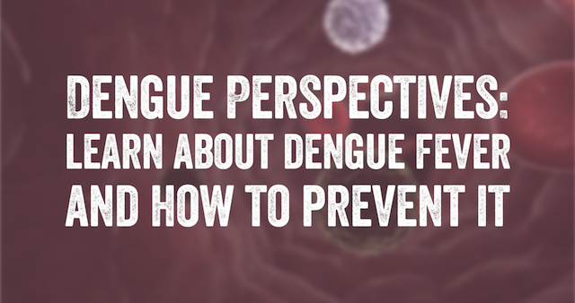 Text reading "Dengue perspectives: learn about dengue fever and how to prevent it" over a blurred image.
