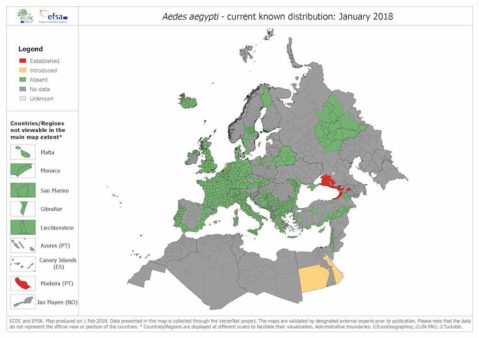 Map from ECDC showing dengue in Europe in 2018