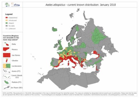 map showing the distribution on dengue in Europe.