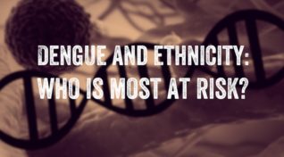 Image covered with text reading, "Dengue and ethnicity: who is most at risk?"