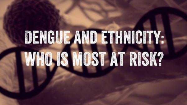 Image covered with text reading, "Dengue and ethnicity: who is most at risk?"