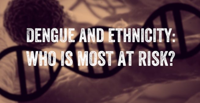 Image covered with text reading, "Dengue and ethnicity: who is most at risk?"