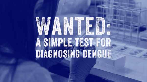 Image of a worker in a lab with text reading, 'Wanted: a simple test for diagnosing dengue' 