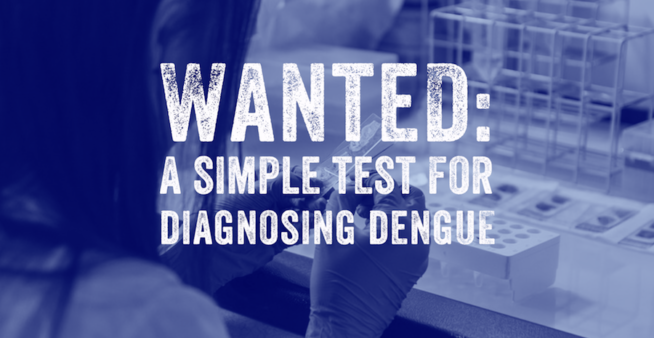 Image of a worker in a lab with text reading, 'WanteD: a simple test for diagnosing dengue'