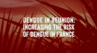 Image on reunion island at sunset with text reading, Dengue in Reunion: increasing the risk of dengue in France.