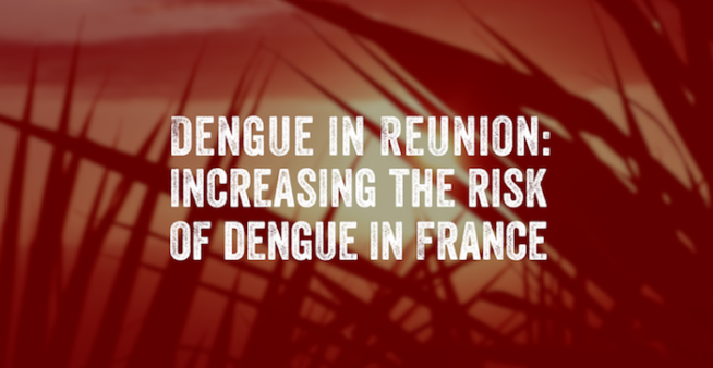 Image on reunion island at sunset with text reading, Dengue in Reunion: increasing the risk of dengue in France.