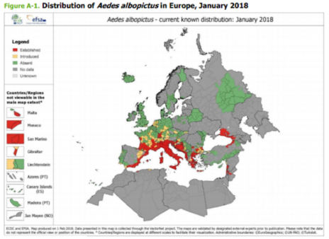 Map indication the whereabouts of the dengue mosquitoes in Europe in 2018. 