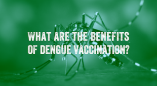 Image of an Aedes mosquito covered by a text reading 'What are the benefits of dengue vaccination?'