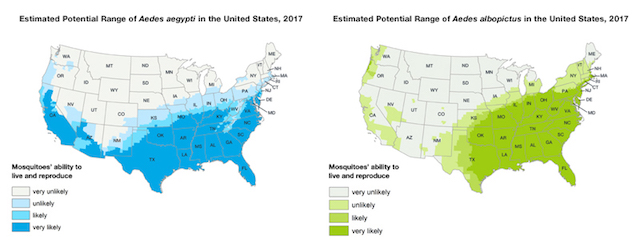 Map of the USA showing Aedes mosquito range.