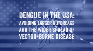 Image of a US flag with a mosquito on it with text overlay reading, 'Dengue in the USA: Avoiding larger outbreaks and the wider spread of vector-borne disease.'