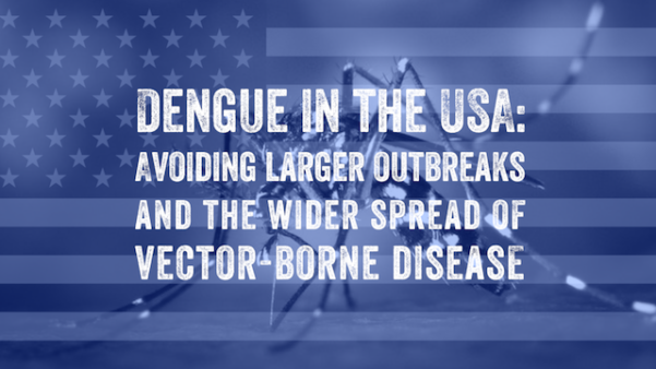 Image of a US flag with a mosquito on it. A text reads, 'Dengue in the USA: Avoiding larger outbreaks and the wider spread of vector-borne disease.'