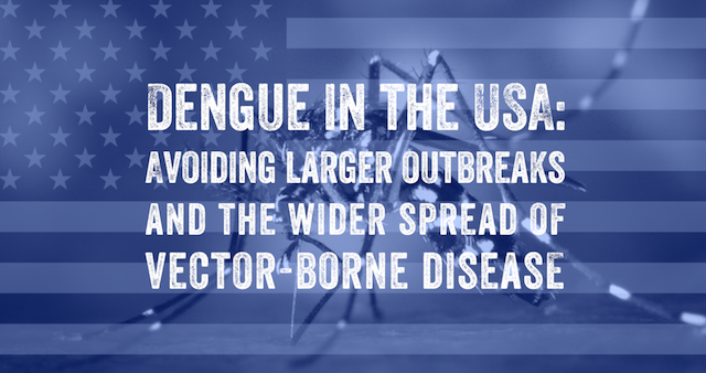 Image of a US flag with a mosquito on it with text overlay reading, 'Dengue in the USA: Avoiding larger outbreaks and the wider spread of vector-borne disease.'