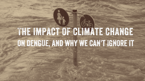 Image of a flooded street. A text reads, the impact of climate change on dengue, and why we can't ignore it