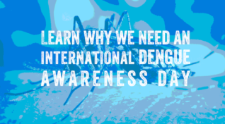 Image of an Aedes mosquito with tex promoting a dengue awareness day.