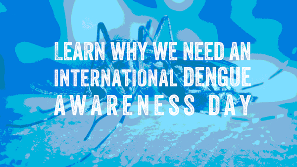 Image of an Aedes mosquito with tex promoting a dengue awareness day.