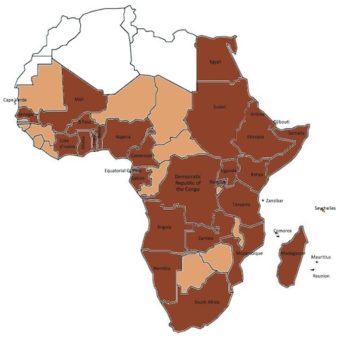 Image showing dengue activity in countries in Africa.