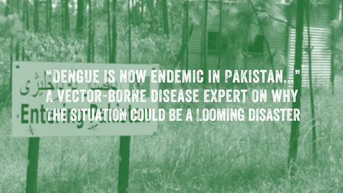Image of a sign reading, "Entering Pakistan" in a forest. A text reads, “'Dengue is now endemic in Pakistan...' A vector-borne disease expert on why the situation could be a looming disaster"