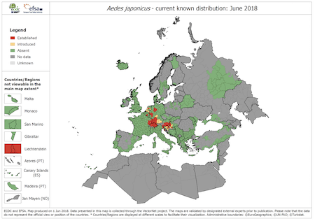 Map showing the June 2018 distribution of Aedes japonicus in Europe.