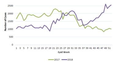 Graph showing the rise of dengue cases reported weekly in Malaysia in 2017 and 2018. Graph showing the rise of dengue cases reported weekly in Malaysia in 2017 and 2018.